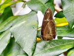 P5110340