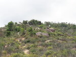 P5180482