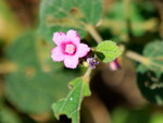 PSKM0940