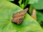 PB020755