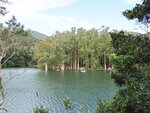 PC141267