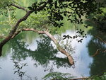 PC141275