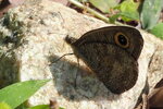 P3081177