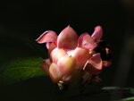 P3081244
