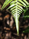P3081254