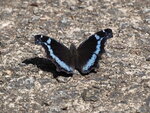 P3081257