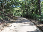 P3081258