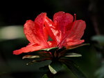 P3220284