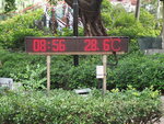 P5310054