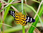 P5310124