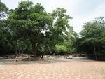 P5310157