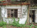 P6280516