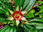 P1050895