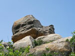 P1050911