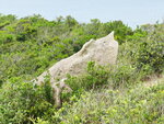 P1050944