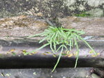 P9060832