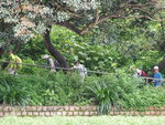 P9060854