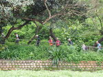 P9060858