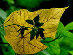 P9060876