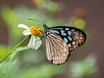 P9060901