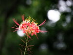 P9131337