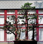 P9201457