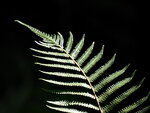 P9271746