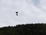 PA252413_1
