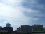 照片 161