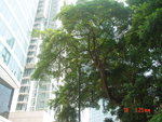 DSC00149