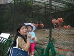 CIMG0397