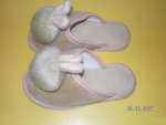 SANY1299