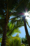 25. Bohol Beach Club - 從吊床看天空