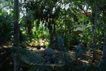 5. Sun Apartelle Resort的園林
