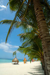 64. Bohol Beach Club