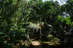 8. Sun Apartelle Resort的園林