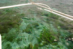 13. Alona Kew White Beach - 清晰的海水