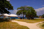 23. Balicasag Island