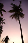 58. Alona Kew White Beach的晚霞