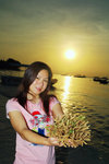 38. Alona Kew White Beach - 珊瑚