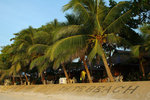 41. Alona Kew White Beach