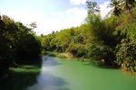 102. Bohol Island - 從吊橋上看Loboc River
