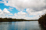 11. Bohol Island - Loboc River