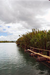 16. Bohol Island - Loboc River