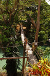 90. Bohol Island - Loboc River上的吊橋