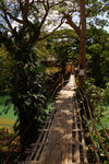 91 Bohol Island - Loboc River上的吊橋