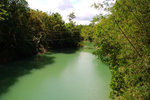 94. Bohol Island - 從吊橋上看Loboc River