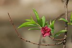SK2_5248