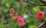 SK2_5252