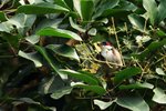 SK2_5257